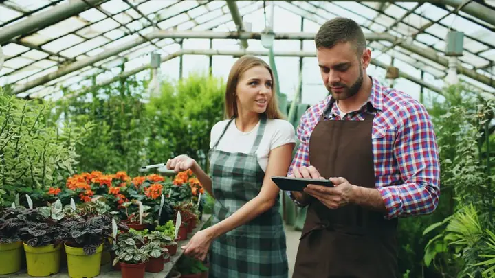 plant nursery small business